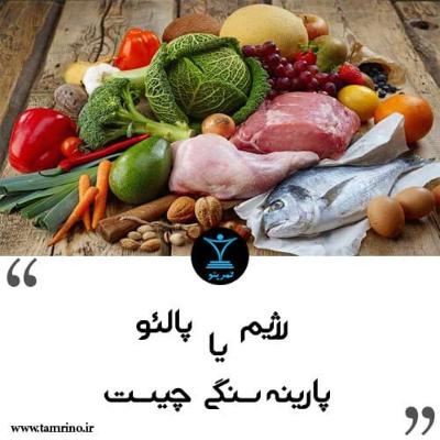 رژیم پالئو یا پارینه سنگی چیست؟ (هوش مصنوعی) رژیم پالئو یا پارینه سنگی چیست؟ (هوش مصنوعی)