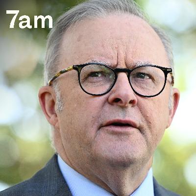 Why Albanese won't solve the housing crisis