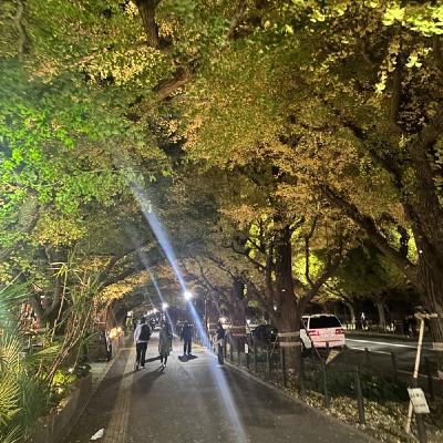 夜のイチョウの木の下で、自我を叫ぶ。