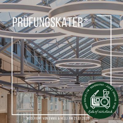 Prüfungskater* Prüfungskater*
