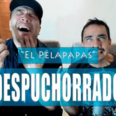 El Pelapapas 009