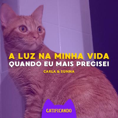 Sunna, a gata que me ajudou com o luto - (Carla & Sunna) Gatificando #37