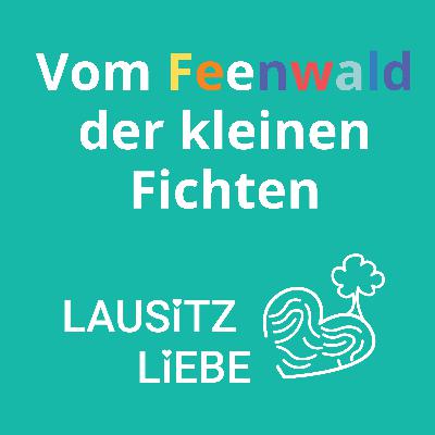 #8 Der Feenwald der kleinen Fichten - LausitzLiebe im NSG Schadewitz