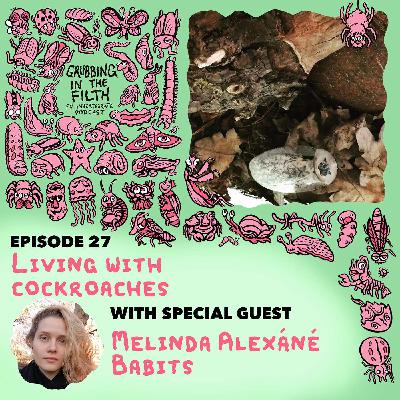 Living with Cockroaches with Melinda Alexáné Babits