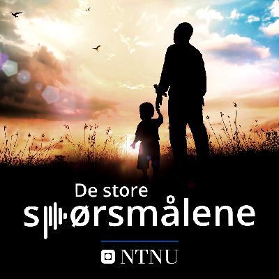Hvordan skal vi unngå at gutter blir skoletapere?