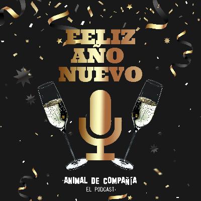 S4 Ep49: Happy New Year!