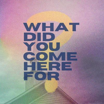 What Did You Come Here For?