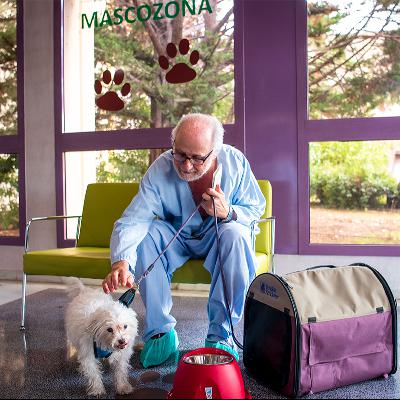 Mari Ángeles García, Jefa del Servicio de Información y Atención al Paciente del Hospital de Getafe, habla de la 'mascozona'. Mari Ángeles García, Jefa del Servicio de Información y Atención al Paciente del Hospital de Getafe, habla de la 'mascozona'.