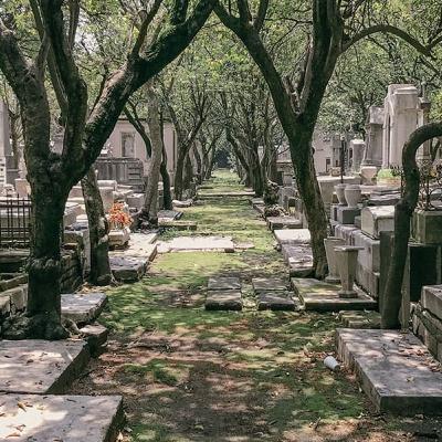 El cielo es azul, los arboles verdes, yo soy Alicia!