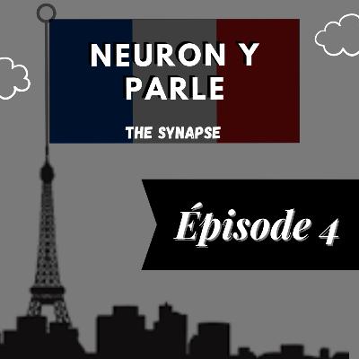 Neuron y Parle - Émission 4 - L'origine évolutionniste de l'attraction