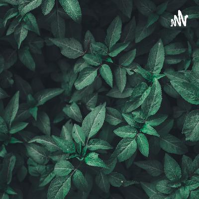 EP1：向心力 & 離心力