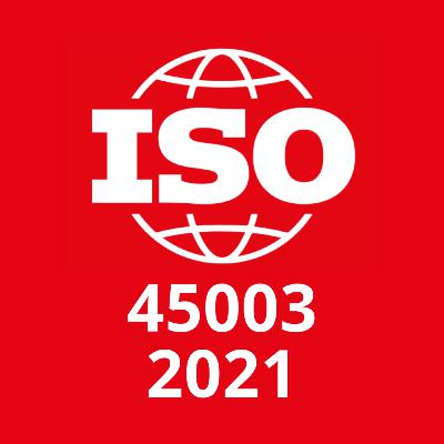 40Gestión de la seguridad y salud en el trabajo — Seguridad y salud psicológicas en el trabajo — Directrices para la gestión de los riesgos psicosociales