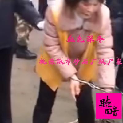 EP17.血色深冬-桃源陬市砂石厂双尸案