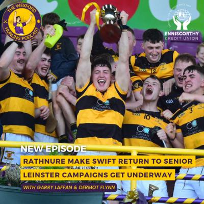 Rathnure make swift return to Senior | Leinster Campaigns await our County Champions Rathnure make swift return to Senior | Leinster Campaigns await our County Champions