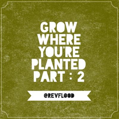Episode 10: Grow Where You’re Planted Part: 2