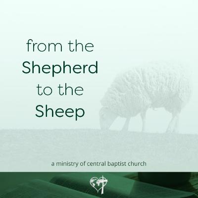 From the Shepherd to the Sheep - #1928 - CBC