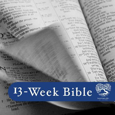 Luke 21—Romans with Shawn & Nathan Luke 21—Romans with Shawn & Nathan