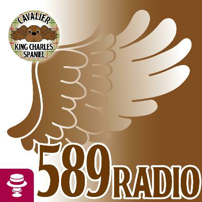 589Radio #009　2024年最後の配信　～鮎師の年末の過ごし方～