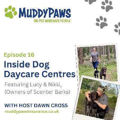 Inside Dog Daycare Centres