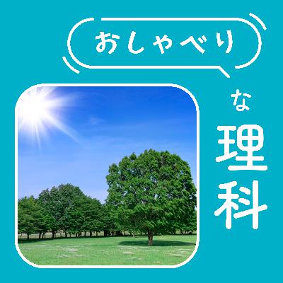 #133【3年 太陽とかげ②】数値と感覚がリンクする