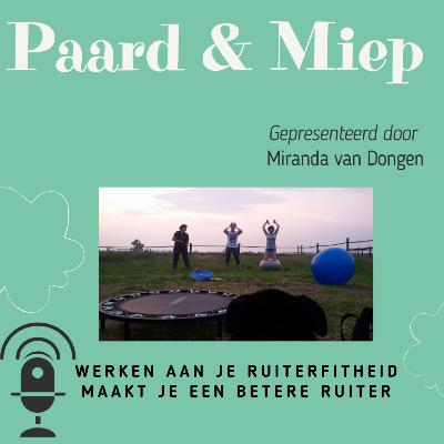 Werken aan je ruiterfitheid maakt je een betere ruiter