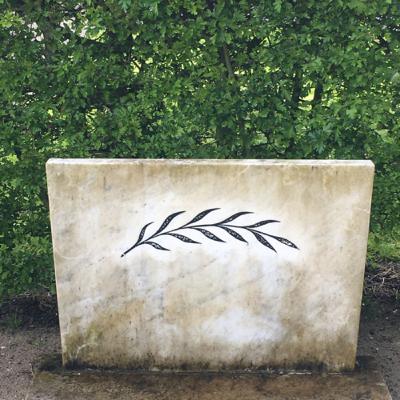 3.1🍂Aandacht en zorg (wanneer de dood dichtbij is)