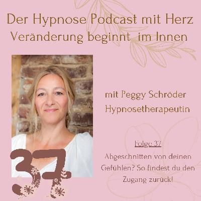 💜37. Folge: Abgeschnitten von deinen Gefühlen? So findest du den Zugang zurück!