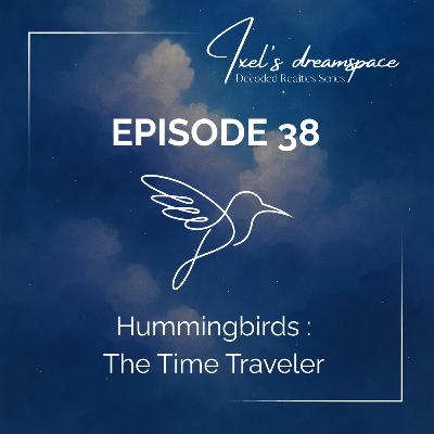 Hummingbirds : The Time Traveler 🕊✨