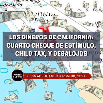 Los Dineros de California: Cuarto Cheque de Estímulo, Child Tax, y Desalojos| Ago. 30, 2021