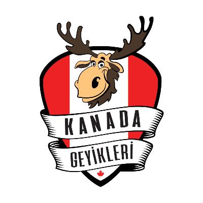 Youtube Yorumlara Gelen Sorular