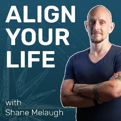 Alignment Beats Hard Work & Discipline Alignment Beats Hard Work & Discipline