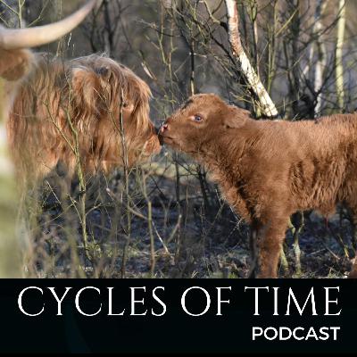The Caring Bull: Wheel of the Year, Week 5
