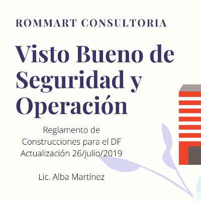 Visto Bueno de Seguridad y Operación Visto Bueno de Seguridad y Operación
