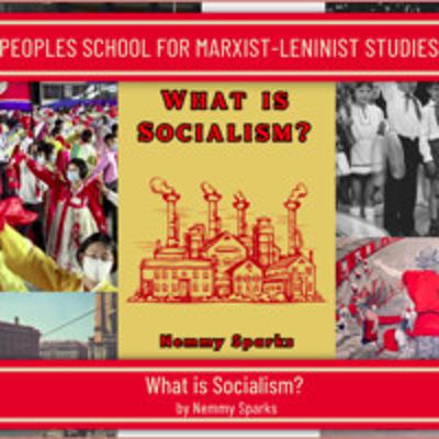 What is Socialism - PSMLS Class