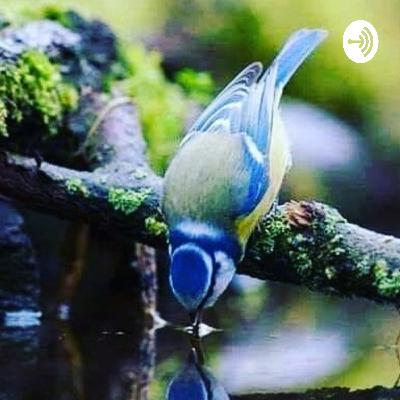 Ejercicio para la liberación emocional