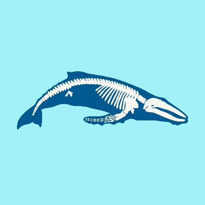 Evidence for Evolution