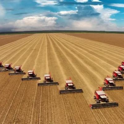 Economia e Negócios: Área a ser colhida em 2025 no agronegócio é 3% maior que 2024