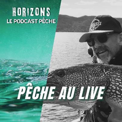 Pour ou contre la pêche au live ? avec Arnaud Fileppi