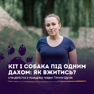Спільне життя котів і собак: міфи, факти та їх відмінності у поведінці