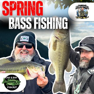 Mastering Spring Bass