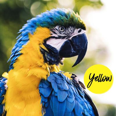 Morning Stand Up 12/28/2021