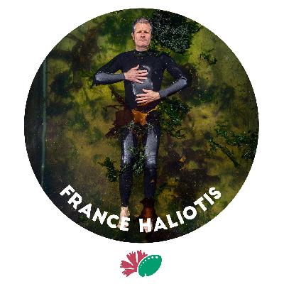 La dulce vie La dulce vie