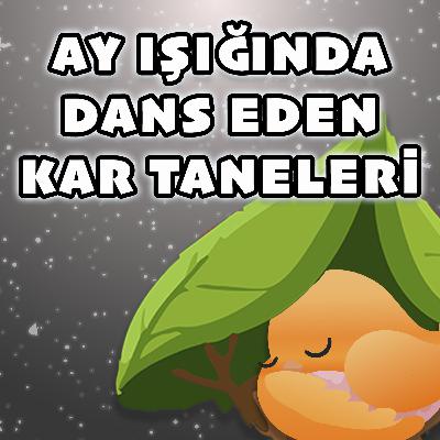 MİNİK KUŞ'UN GÜNLÜĞÜ: AY IŞIĞINDA DANS EDEN KAR TANELERİ - UYKU ÖNCESİ MASAL VE NİNNİ