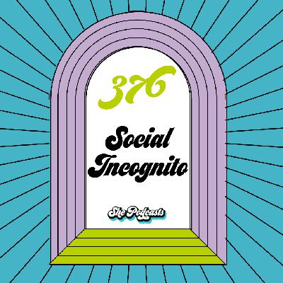 376 Social Incognito