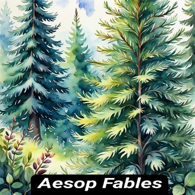 The Fir Tree and The Bramble - Aesop Fables - Kids Story Short Stories for Kids and Adults The Fir Tree and The Bramble - Aesop Fables - Kids Story Short Stories for Kids and Adults