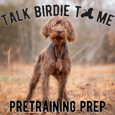 5 | Teacher's Pet: How To Prepare Your Dog Before Training 5 | Teacher's Pet: How To Prepare Your Dog Before Training