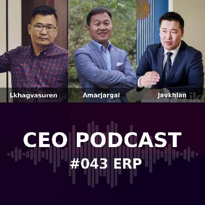 CEO Podcast #043 - ERP