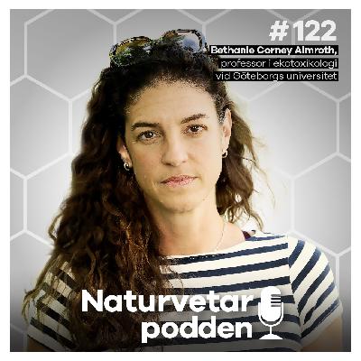 #122 Bethanie Corney Almroth – Mikroplaster finns i våra kroppar