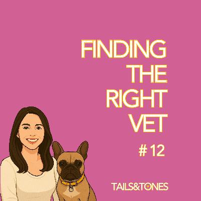 12: How to Choose the Right Vet or Animal Hospital for Your Dog