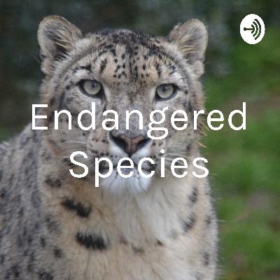 Endangered species